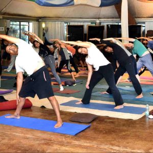 wsi-imageoptim-1-1-e1581521187480