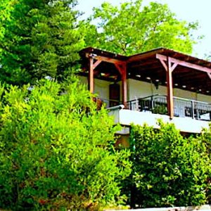 wsi-imageoptim-385829_15062819430031090594-1