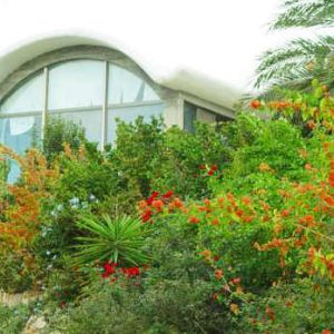 wsi-imageoptim-hi329118626-1