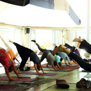 wsi-imageoptim-m3jmghei