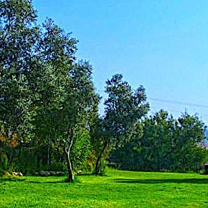 wsi-imageoptim-neve-shalom-hotel-600x398-12-1