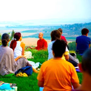 wsi-imageoptim-p3ggoolq